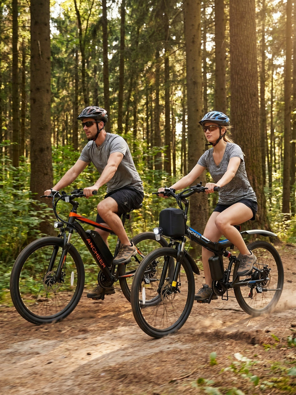 Electric Bikes