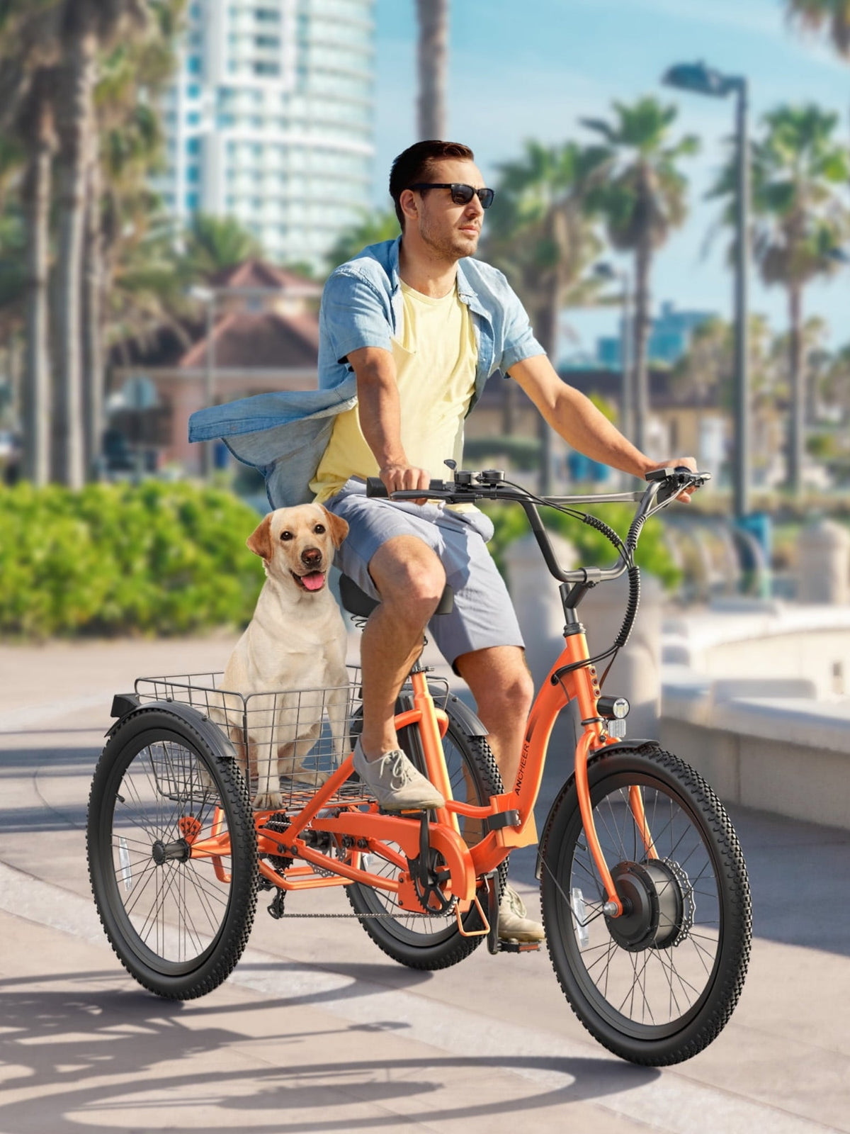 Electric Trikes